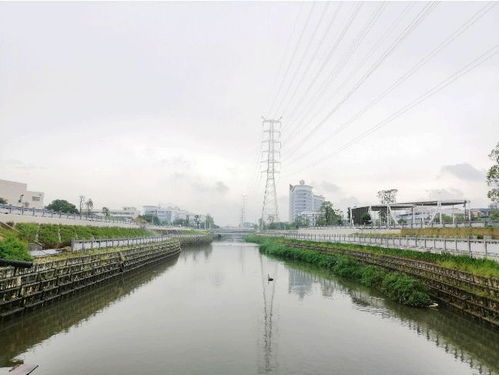 叮 这是东莞水污染治理的答卷,请您阅卷 水污染治理