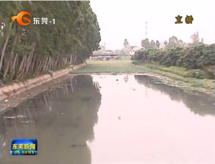 市长梁维东亲自督导大岭山镇水污染治理!