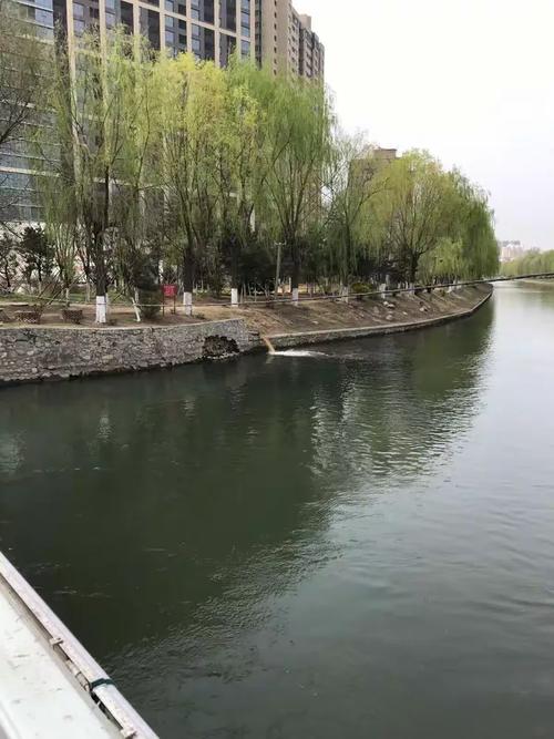 治理水污染